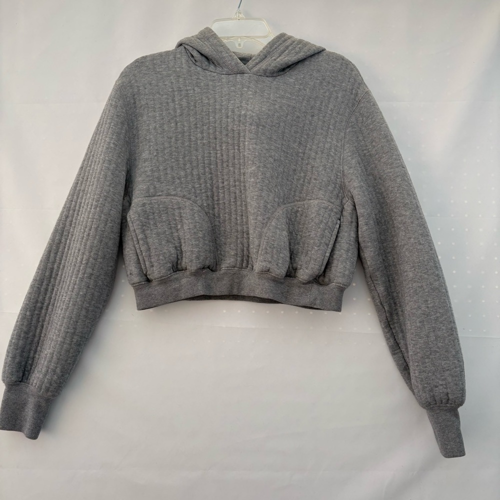 Offline by Aerie 100% Cotton Heather Gray Cropped Hoodie. Size Small.  INV25/313